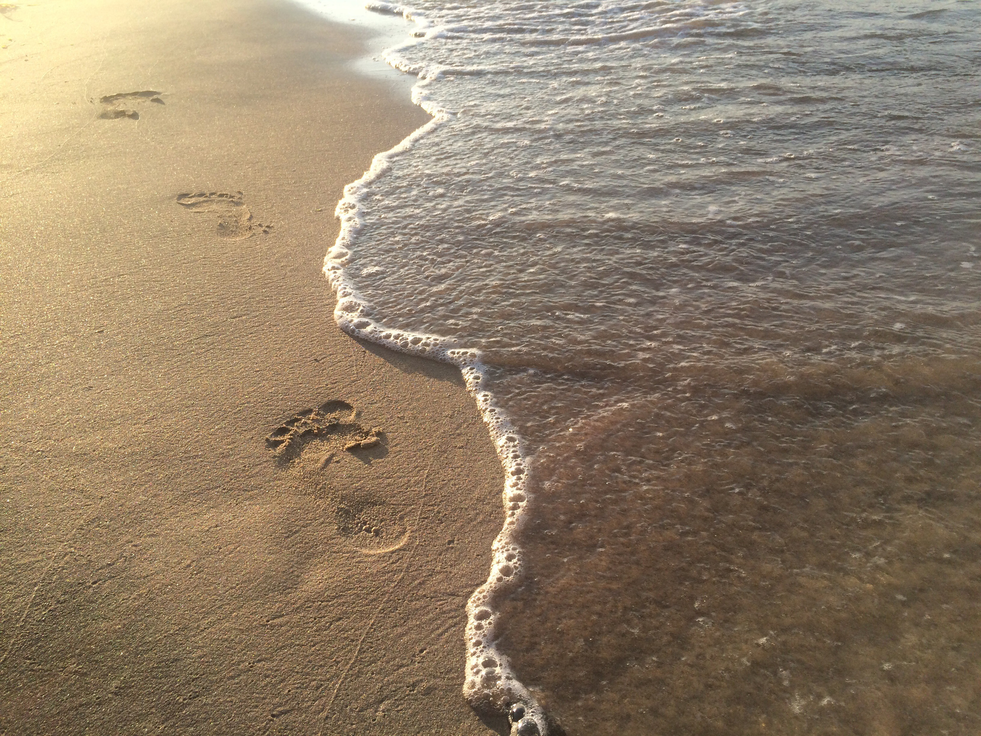 foot prints in the sand